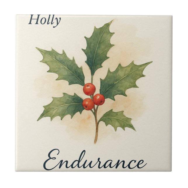 Azulejo De Cerâmica Holly — Resistência (Frente)