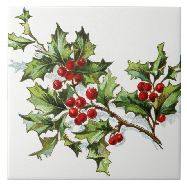 Azulejo De Cerâmica HollyBerries20150802 (Frente)