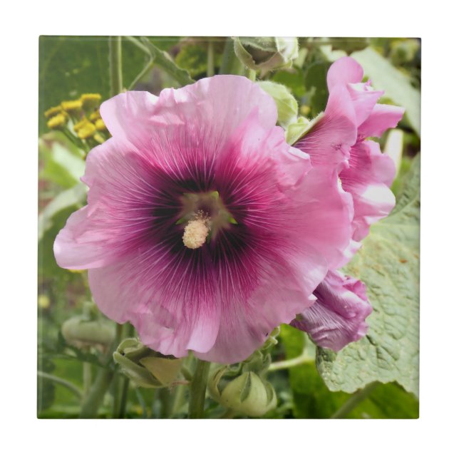 AZULEJO DE CERÂMICA  HOLLYHOCK (Frente)
