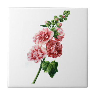 Azulejo De Cerâmica Hollyhock Rosa Desenhado Da Natureza