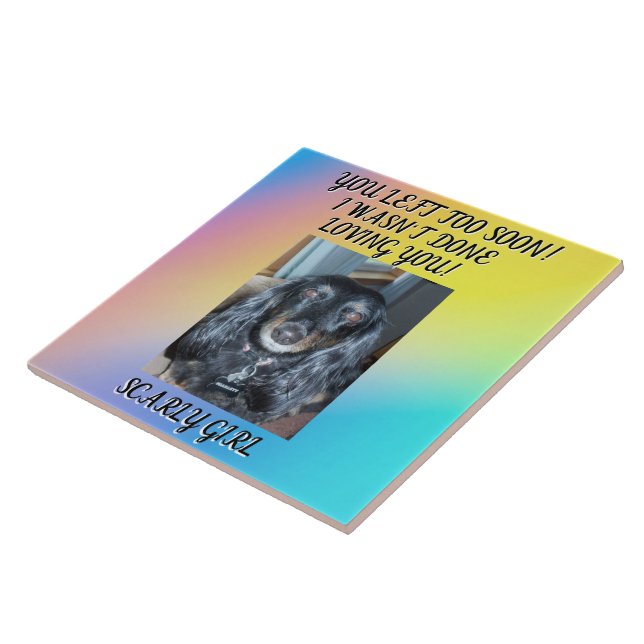 Azulejo De Cerâmica Honrando Seu Amado Pet: Memorial Sentido (Lateral)