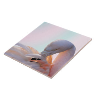 Azulejo De Cerâmica Hortelã cor-de-rosa do flamingo