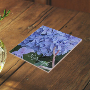 Azulejo De Cerâmica Hortênsia de Cabeça Azul Floral