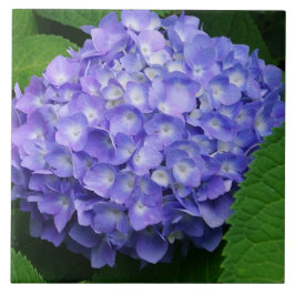 Azulejo De Cerâmica Hortênsia Lavanda