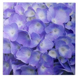 Azulejo De Cerâmica Hortênsia Lavanda