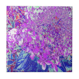 Azulejo De Cerâmica Hortênsia Limelight Azul e Roxo Elegante