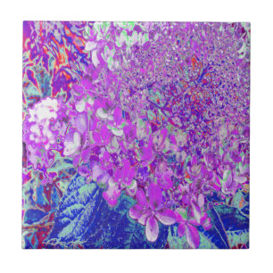 Azulejo De Cerâmica Hortênsia Limelight Azul e Roxo Elegante