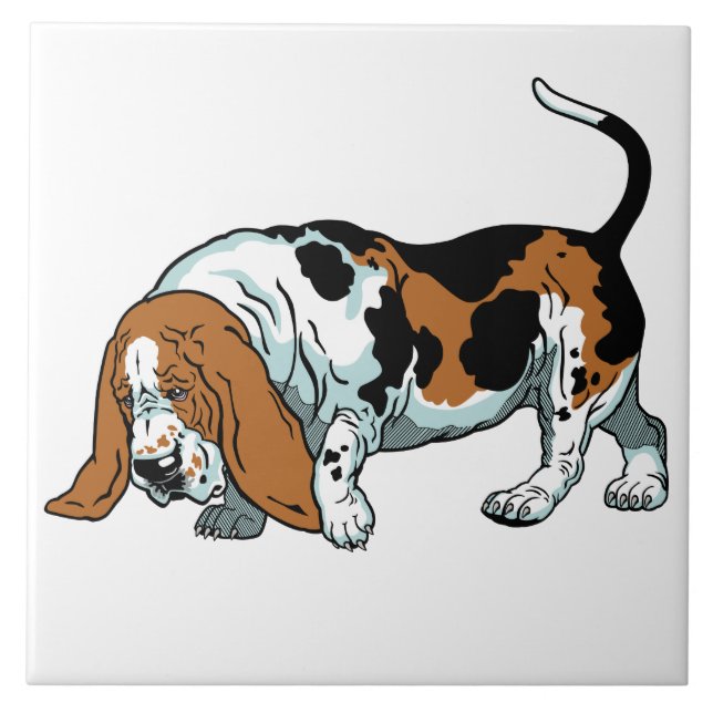 Azulejo De Cerâmica hound basset (Frente)