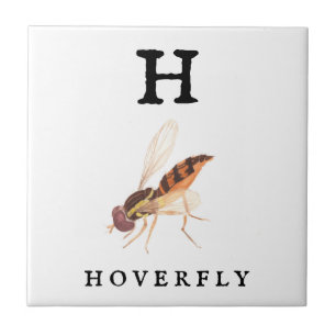 Azulejo De Cerâmica Hoverfly