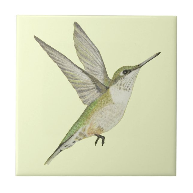 Azulejo De Cerâmica Hummingbird (Frente)