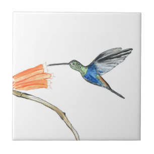 Azulejo De Cerâmica Hummingbird Aves Selvagem Aquarela Colorida
