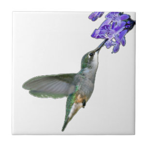 Azulejo De Cerâmica Hummingbird com Lavanda Mona