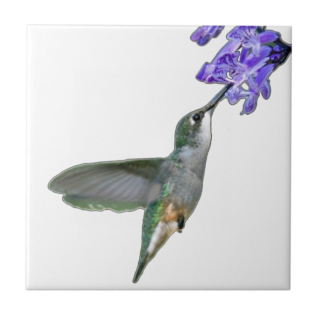 Azulejo De Cerâmica Hummingbird com Lavanda Mona (Frente)