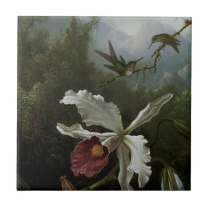 Azulejo De Cerâmica Hummingbird e Orquídea Branca por Martin J. Heade