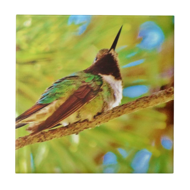 Azulejo De Cerâmica Hummingbird em evergreen (Frente)