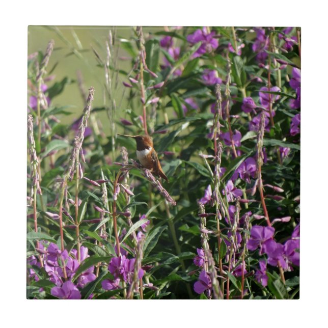 Azulejo De Cerâmica Hummingbird em Roxo (Frente)