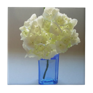 Azulejo De Cerâmica hydrangea do annabelle