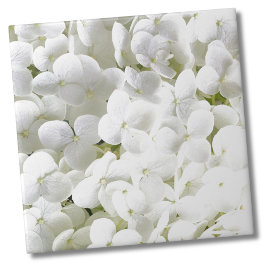 Azulejo De Cerâmica Hydrangea White Floral