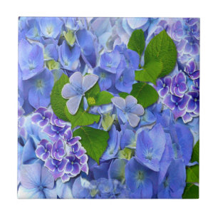 Azulejo De Cerâmica Hydrangeas azuis e borboletas