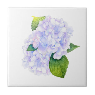 Azulejo De Cerâmica Hydrangeas de Aquarela