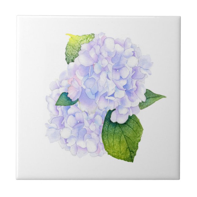 Azulejo De Cerâmica Hydrangeas de Aquarela (Frente)