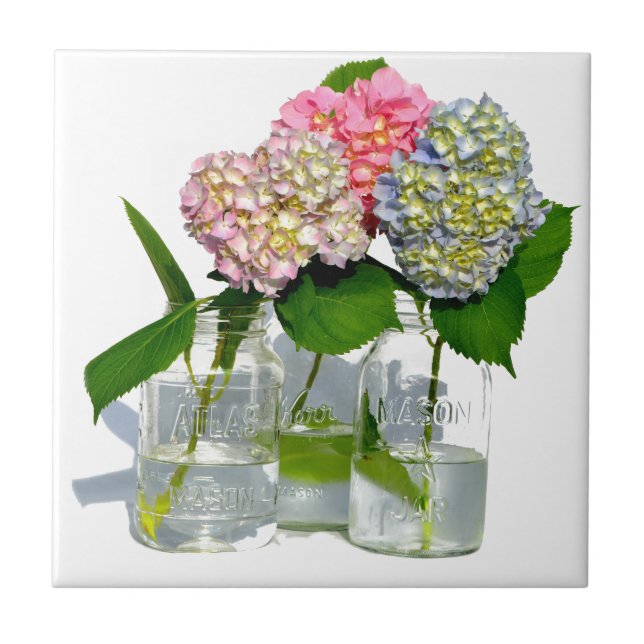 Azulejo De Cerâmica Hydrangeas e Mason jar (Frente)
