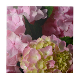 Azulejo De Cerâmica Hydrangeas Rosa e Creme