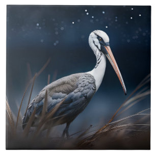 Azulejo De Cerâmica Ibis à meia-noite