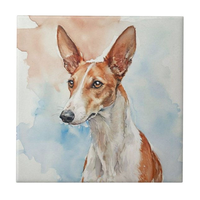 Azulejo De Cerâmica Ibizan Hound Acrylic Photo Tile (Frente)