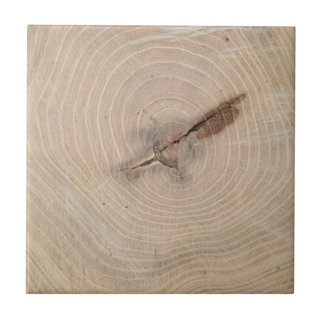 Azulejo De Cerâmica Ideia superior dos anéis anuais do close up (Frente)