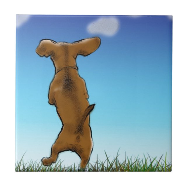 Azulejo De Cerâmica Ignorando Doxie (Frente)