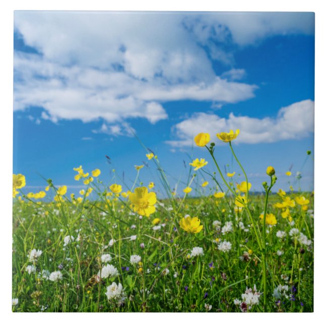 Azulejo De Cerâmica ilha do Uist do Sul | Escócia (Frente)