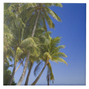 Azulejo De Cerâmica Ilhas Cook com Palm na praia