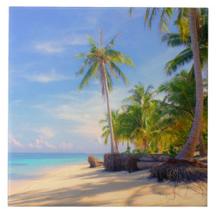 Azulejo De Cerâmica Ilhas Tropicais Filipinas, Pram Palm Paradise