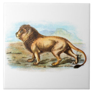 Azulejo De Cerâmica Ilustração Animal Vintage Lion