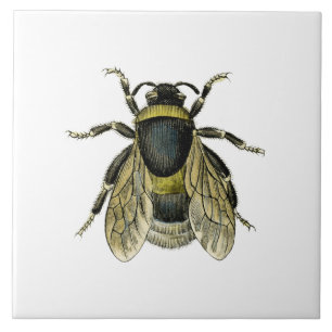 Azulejo De Cerâmica Ilustração antiga da abelha