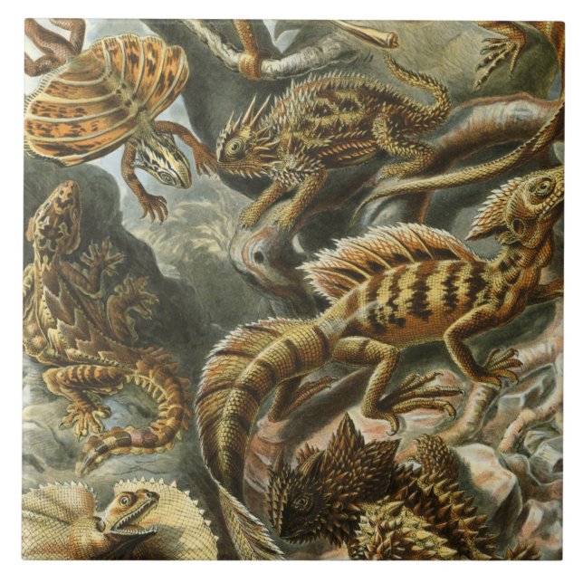 Azulejo De Cerâmica Ilustração antiga de moda Ernst Haeckel Lacertilia (Frente)
