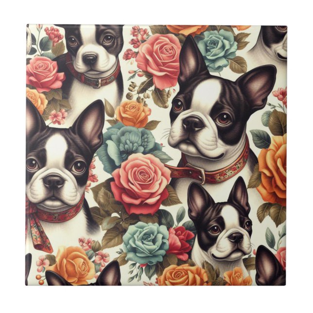 Azulejo De Cerâmica Ilustração Cute Boston Terrier (Frente)