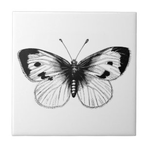 Azulejo De Cerâmica Ilustração de Borboleta da Couve Branca Vintage