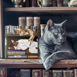 Azulejo De Cerâmica Ilustração de Estante de Livros de Gatos Adormecid
