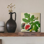 Azulejo De Cerâmica Ilustração de fig de safra<br><div class="desc">Apresentando nossa ilustração de fig da safra, com frutas maduras e lúcidas enfeitadas com folhas verdes vibrantes. Esta bela trabalho de arte capta a essência do Mediterrâneo, trazendo uma sensação quente e convidativa para qualquer espaço. A ilustração é impressa meticulosamente em um azulejo cerâmico de alta qualidade, fazer-o como uma...</div>