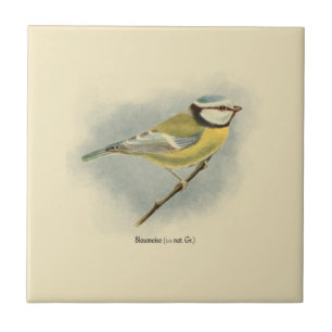 Azulejo De Cerâmica Ilustração de Tit Azul Alemão Vintage