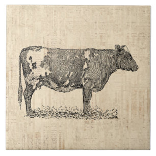 Azulejo De Cerâmica Ilustração de Vintage Cow Art com Fundo de Script