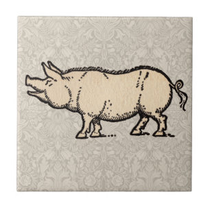 Azulejo De Cerâmica Ilustração de Vintagem de Porte de Porco Antiguo