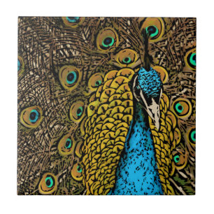 Azulejo De Cerâmica Ilustração do esplendor do pavão