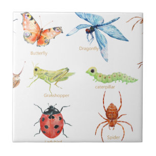 Azulejo De Cerâmica Ilustração do inseto da aguarela