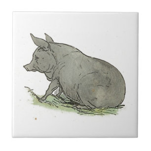 Azulejo De Cerâmica Ilustração do Livro Infantil de Pig Piggy Cinza