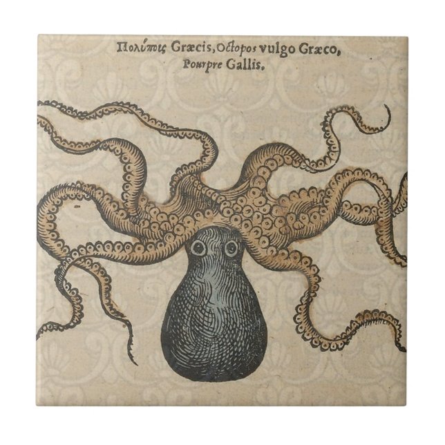 Azulejo De Cerâmica Ilustração Octopus Kraken Vintage (Frente)