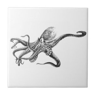 Azulejo De Cerâmica Ilustração preto e branco do polvo