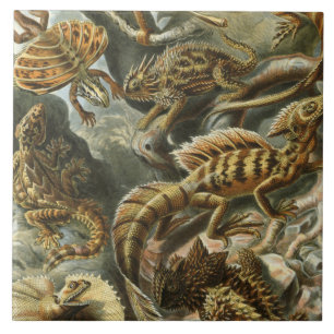 Azulejo De Cerâmica Ilustração velha Lacertilia da forma de Ernst